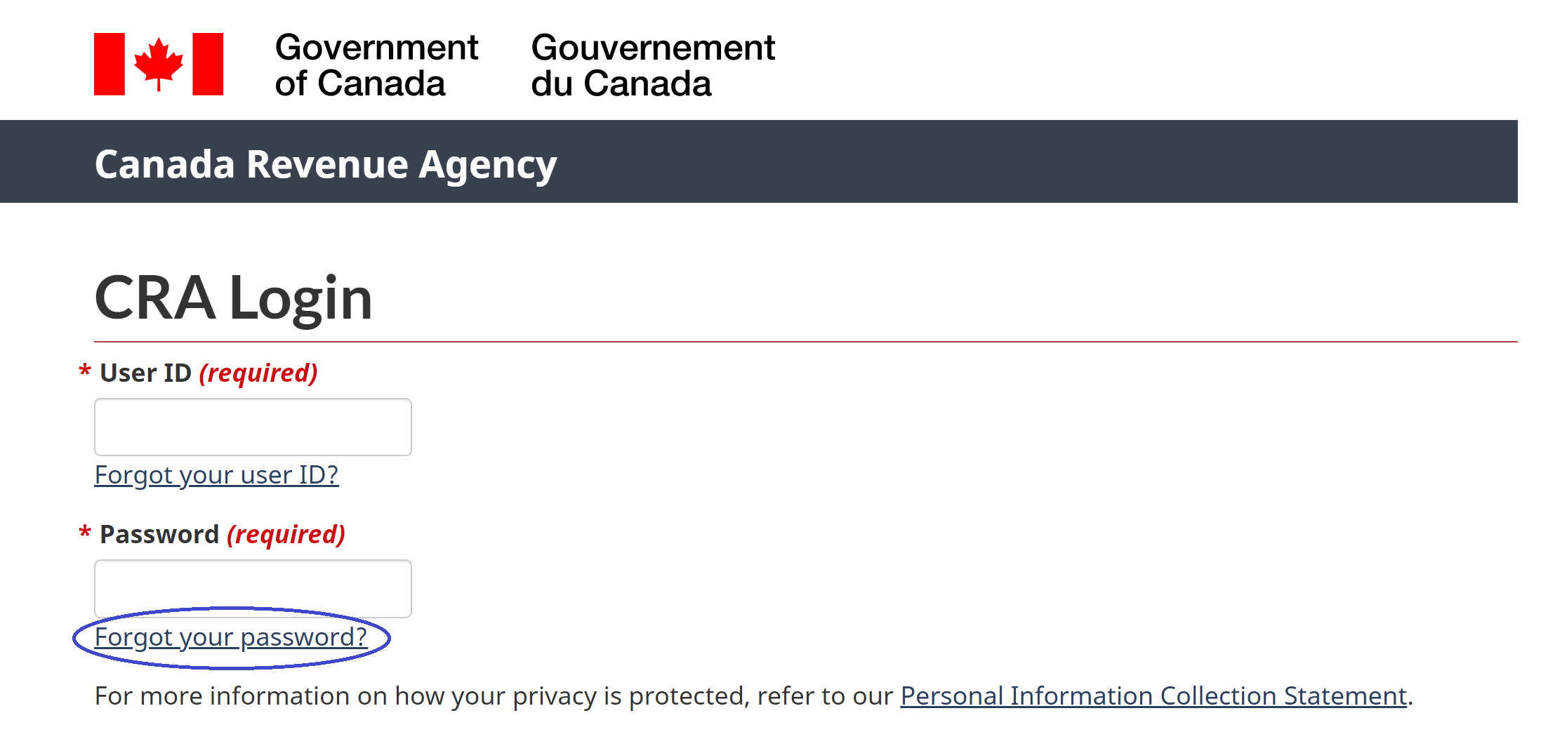 CRA My Account: How To Check Your Tax Information Online